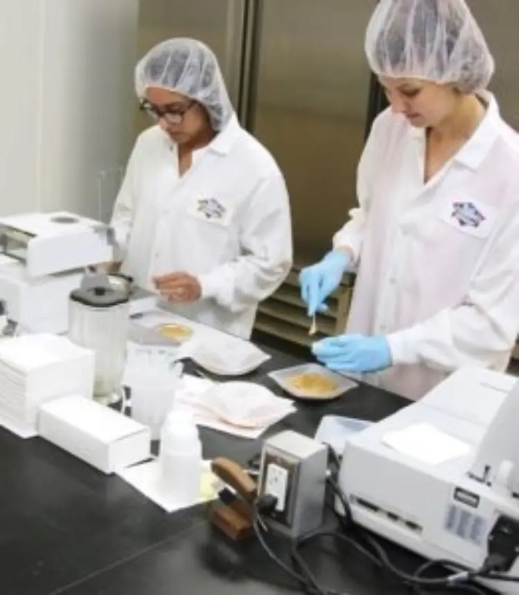 Two women in lab coats collaborate on food research in a laboratory setting.
