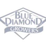 blue diamond logo gris 2025 01 15 154229 mgvp