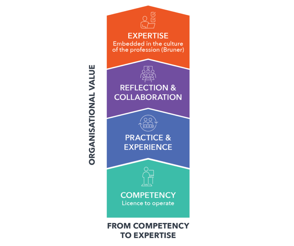 diagram representing the flow from competency to expertise.