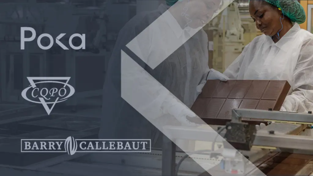 Cover of How to Build and Sustain a Lean Manufacturing Culture
