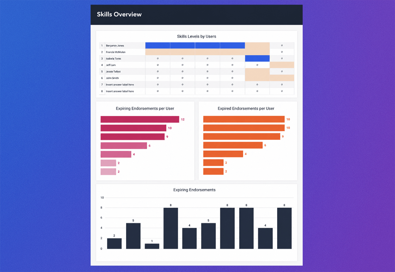 Screenshot of skill overview dashboard